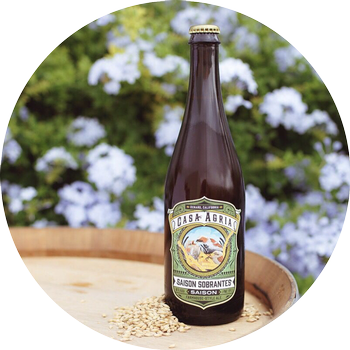 2018 Saison Sobrantes
